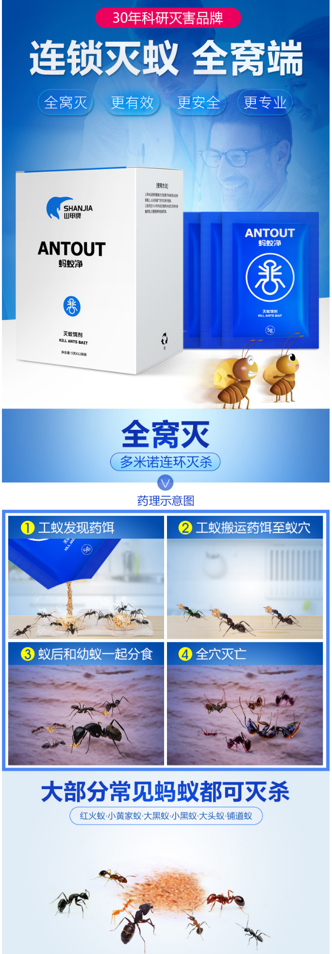 山甲牌码蚁饵剂连锁灭蚁药室内家用黑红黄蚂蚁全窝灭-淘宝网.png